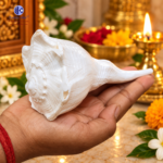 Dakshinavarti Natural Shankh Medium Sizes 4 to 6 inches - Image 4