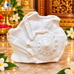 'Original Dakshinavarti Natural Shankh 7 Inch | Mahalaxmi Valampuri Shankh for Diwali, Navratri & Lakshmi Puja - Image 2