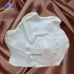 'Dakshinavarti Natural Shankh Big Sizes - Image 2