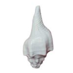 Lord Krishna's Natural Blowing Big Shankh