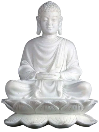 Home 11 mahavir2