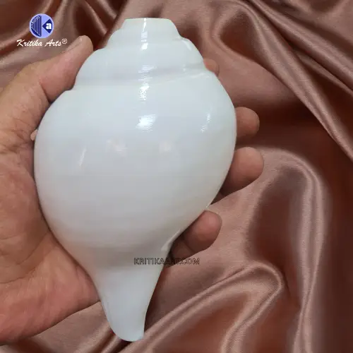 vishnu shankh 7 iinch Vamavarti Natural Big Shankh 8 Inch - Image 4