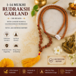 1-14 MUKHI RUDRAKSH MALA