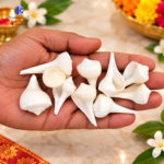 Dakshinavarti Natural Shankh Small Sizes (1–2.5 Inch) displayed in hand, authentic white conch shells for Mahalaxmi Pooja, Diwali, Navratri, spiritual rituals, and Vastu purposes.