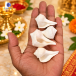 Dakshinavarti Natural Shankh Small Sizes (1–2.5 Inch) displayed in hand, authentic white conch shells for Mahalaxmi Pooja, Diwali, Navratri, spiritual rituals, and Vastu purposes.