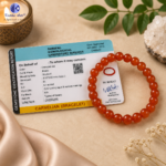 natural orange healing crystal bracelet