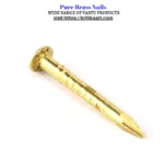 Pure Brass Nails Vastu Kheel - Image 2