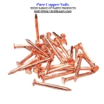Pure Copper Nails Vastu Kheel