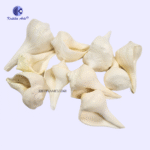 Dakshinavarti Natural Shankh Small Sizes"