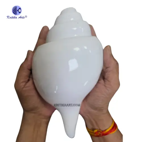 vishnu shankh 10 iinch (3) Vamavarti Natural Big Shankh 9 Inch - Image 5