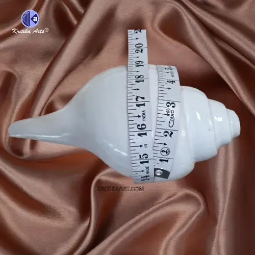 vishnu shankh 10 iinch (4) Vamavarti Natural Big Shankh 10 Inch - Image 3