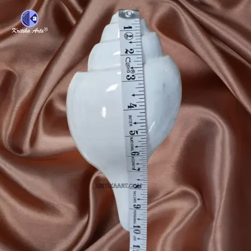 vishnu shankh 10 iinch (5) Vamavarti Natural Big Shankh 10 Inch - Image 2