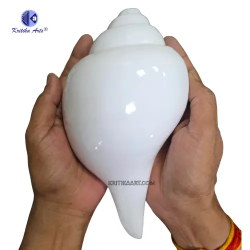 vishnu shankh 10 iinch Vamavarti Natural Big Shankh 10 Inch - Image 4