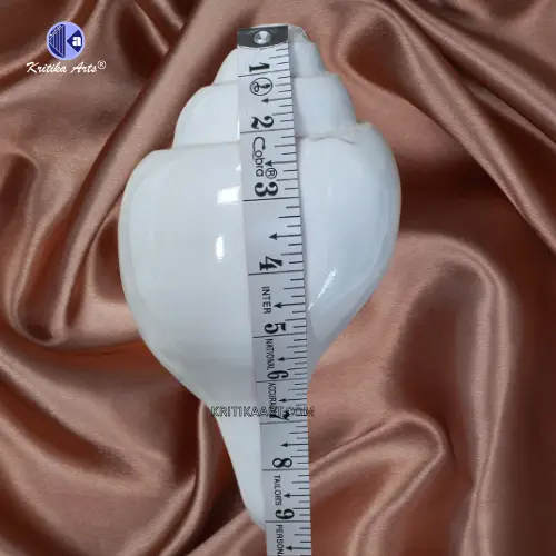 vishnu shankh 9 iinch (2) Vamavarti Natural Big Shankh 9 Inch - Image 2