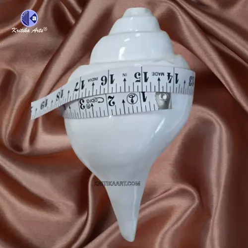 vishnu shankh 9 iinch Vamavarti Natural Big Shankh 9 Inch - Image 4