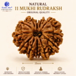 ,*11 Mukhi Natural Rudraksha – Energized Eleven Face Bead for Strength & Wisdom