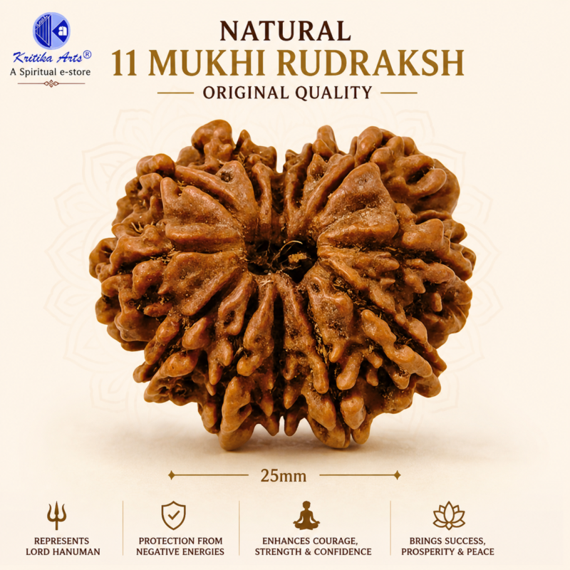 11 mukhi rudraksh