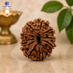 12 Mukhi Natural Rudraksha – Surya (Sun) Rudraksha for Leadership & Confidence - Image 4
