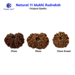 Eleven Face Rudraksha for Lord Hanuman Blessings
